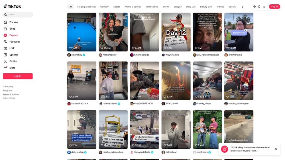 Screenshot of TikTok Ads website homepage