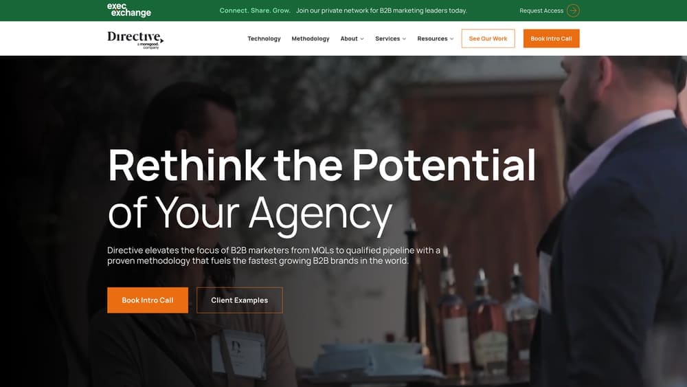 Screenshot of Directive Consulting website