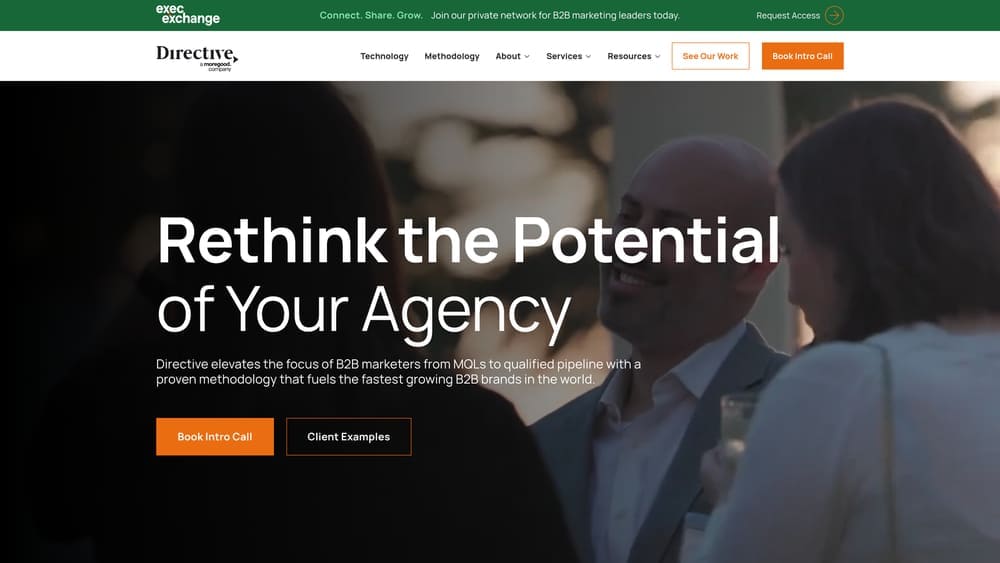 Screenshot of Directive Consulting website