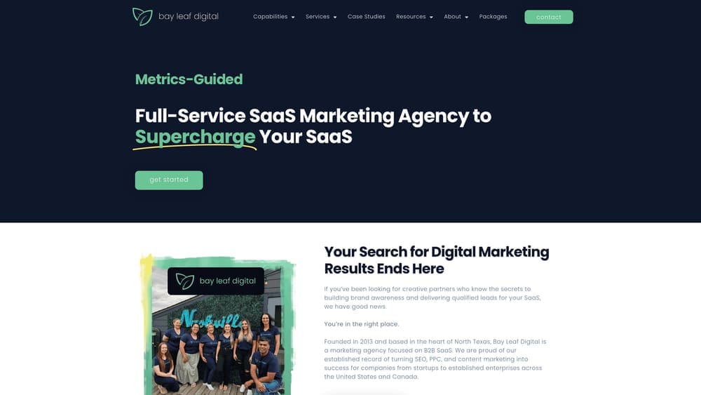 Screenshot of Bay Leaf Digital website