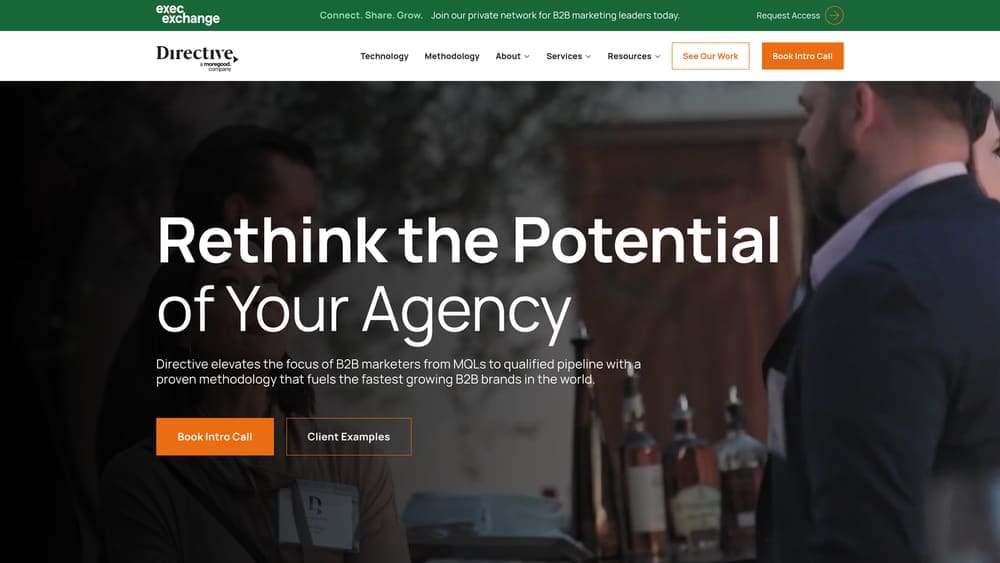 Screenshot of Directive Consulting website