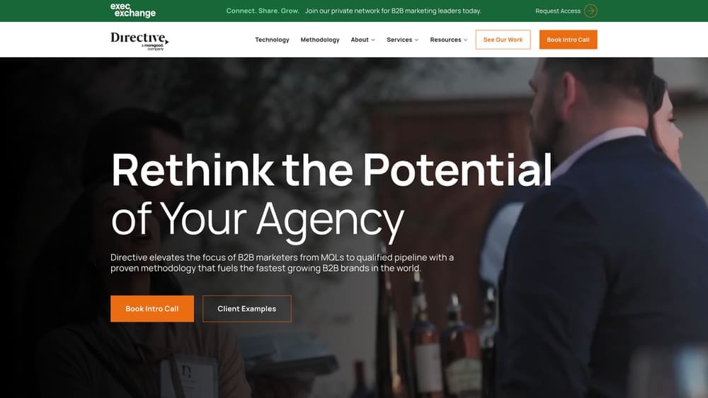 Screenshot of Directive Consulting website