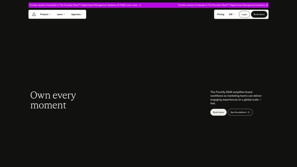Screenshot of Frontify website