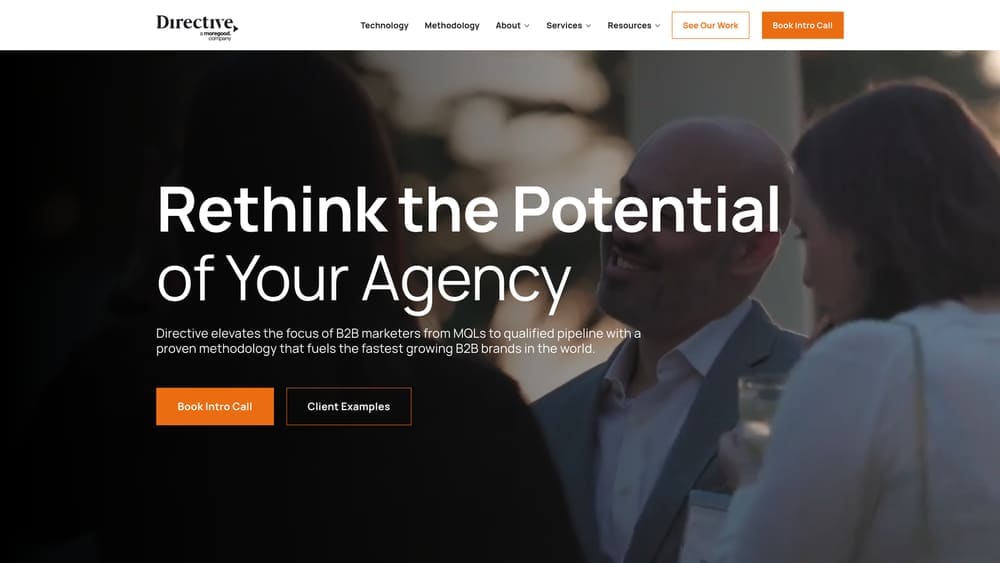 Screenshot of Directive Consulting website